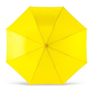 Mini Paraguas Biondi 21