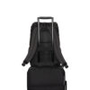 5 MORRAL SWISS PEAK BUZZ