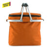 Nevera Cooler bag Picnic