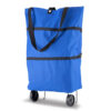 Carrito Shopping Bag Zipper