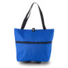Carrito Shopping Bag Zipper