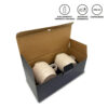 Novedades Novedades